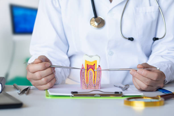 Best Weekend Emergency Dentist in Reston, VA